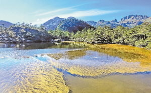 　螺髻山仙草湖。 涼山在線.jpg